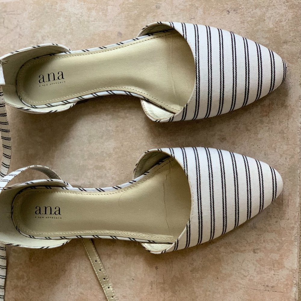 Pointed Toe Flats